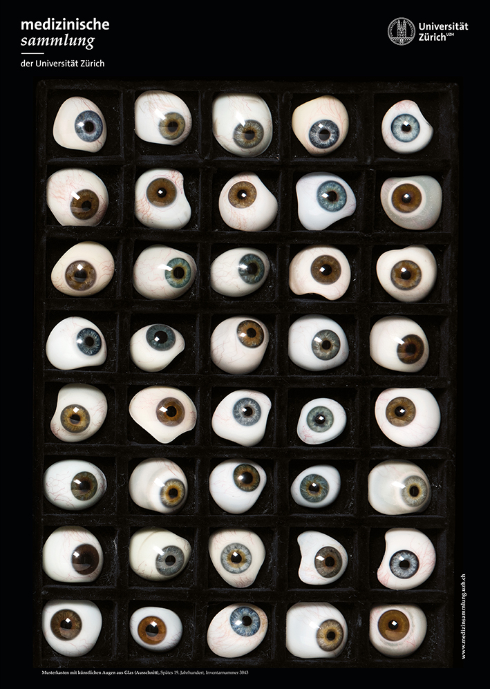 Augen